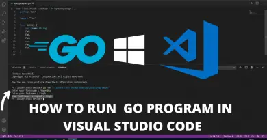 How To Run Go Program in Visual Studio Code