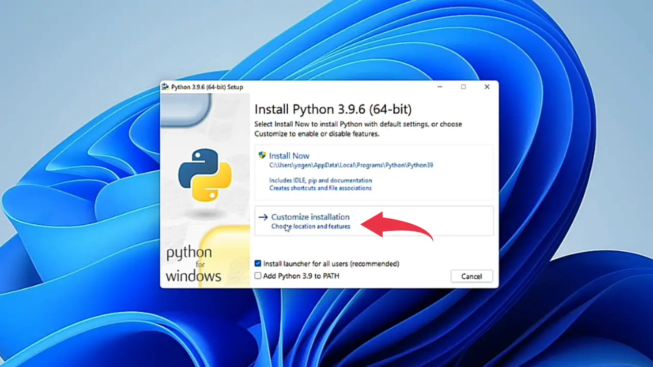 python download file
