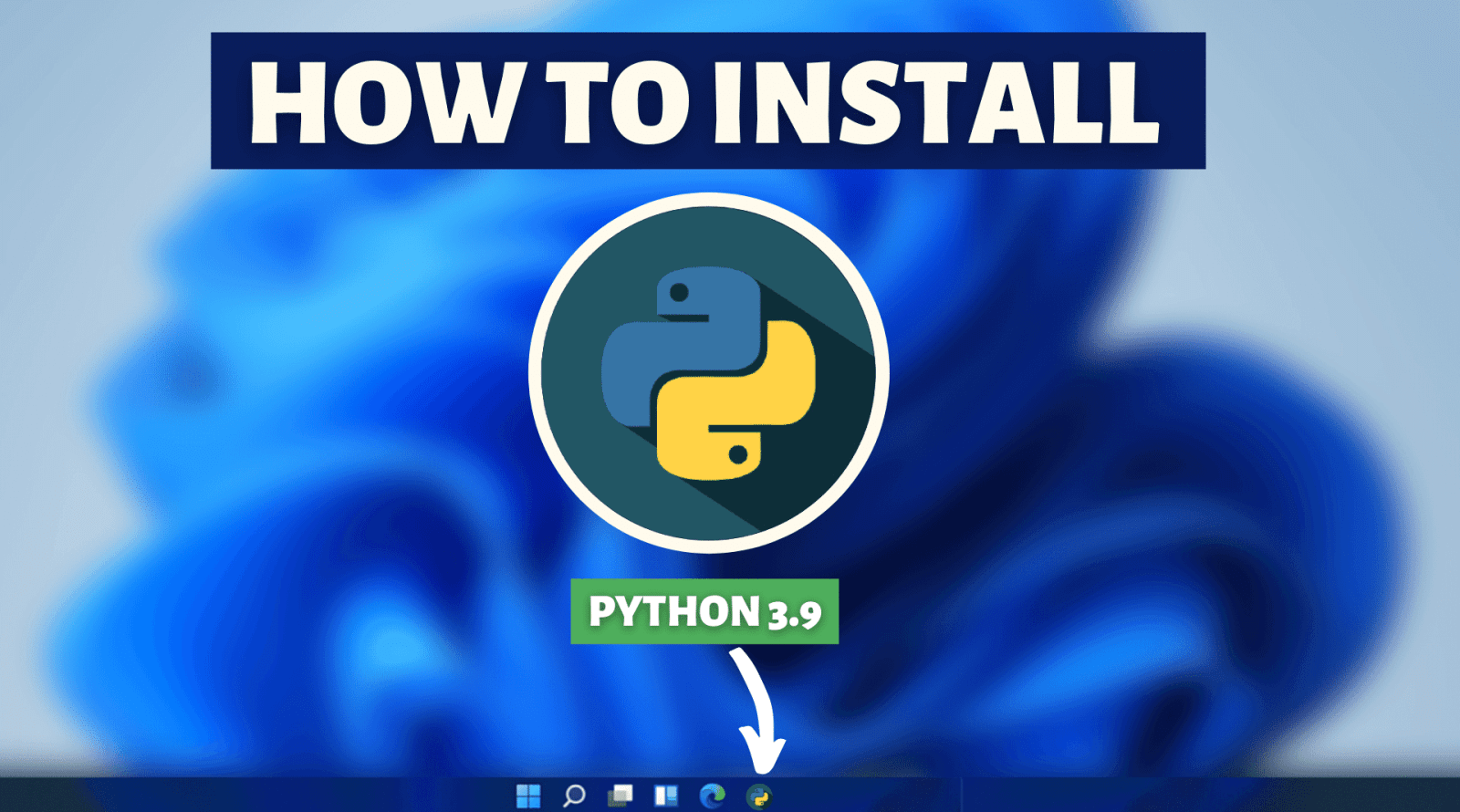 python download windows 11